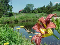 Pond Pond